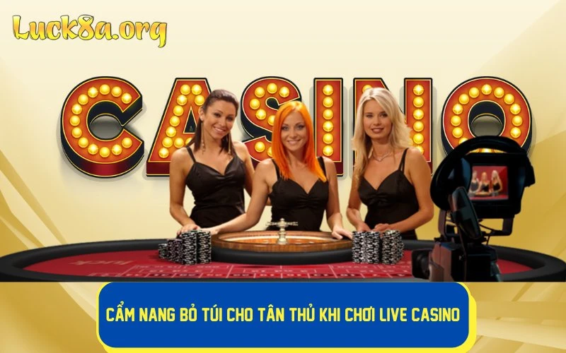 Cẩm Nang Bỏ Túi Cho Tân Thủ khi chơi Live Casino