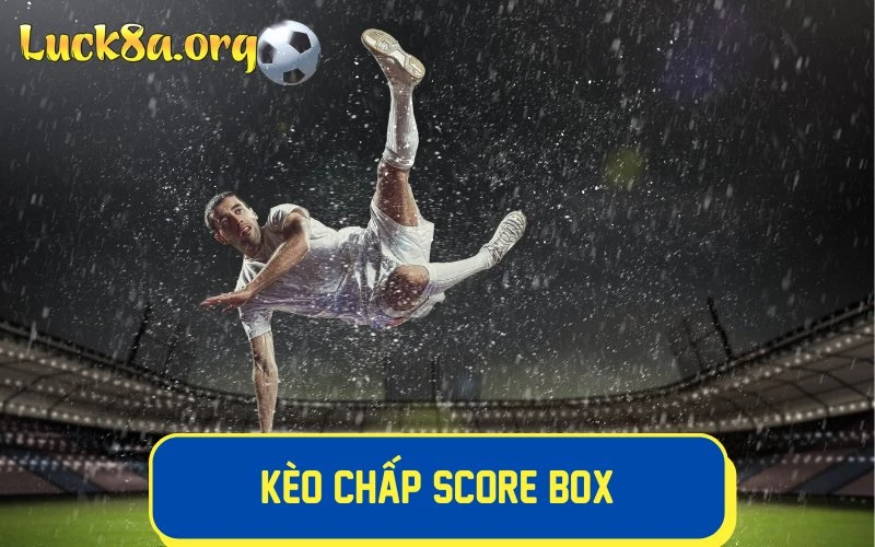 Kèo chấp Score Box được đông đảo bet thủ ưa chuộng