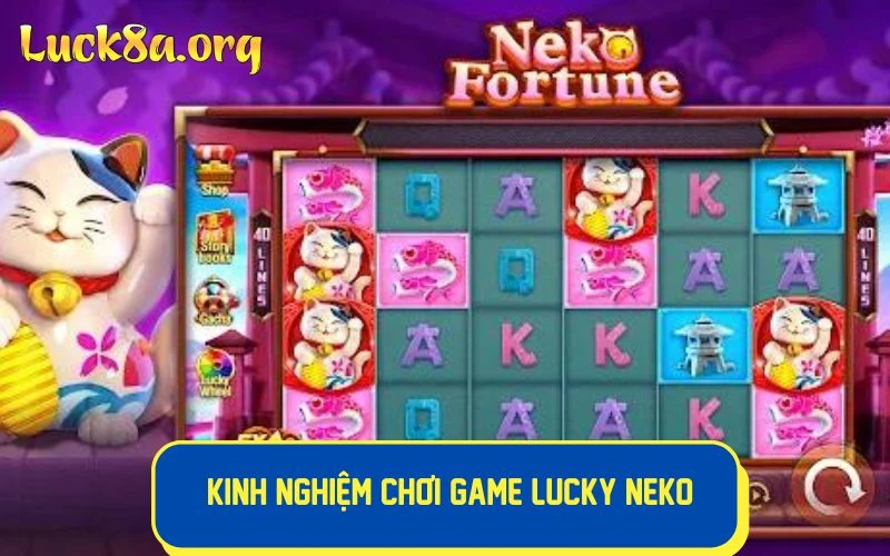 Tham khảo kinh nghiệm chơi game Lucky Neko bất bại