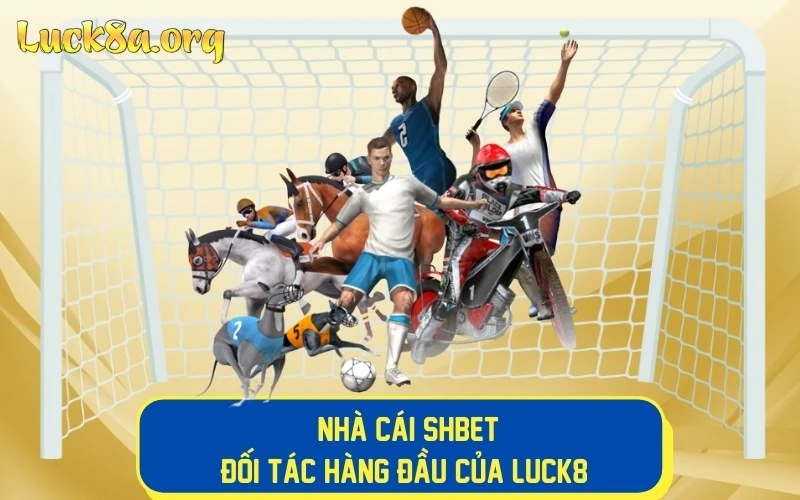 LUCK8 hợp tác với thương hiệu cùng ngành Shbet