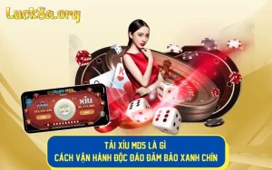 Tải Xỉu MD5 là gì? Cách Vận Hành Độc Đáo Đảm Bảo Xanh Chín