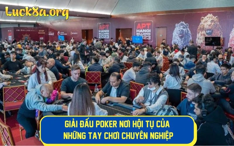 Bí Mật Giải Đấu Poker nơi hội tụ của tay chơi chuyên nghiệp