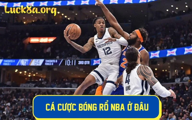 Cá cược bóng rổ NBA uy tín tại LUCK8