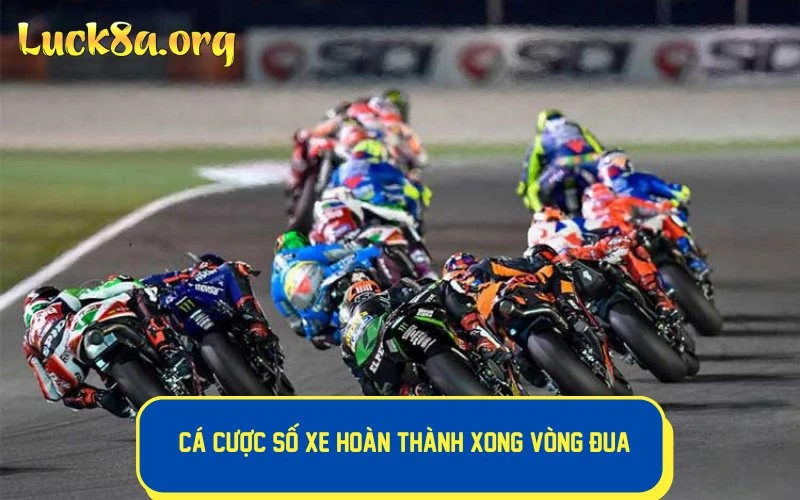 Hình thức cá cược số xe hoàn thành xong vòng đua