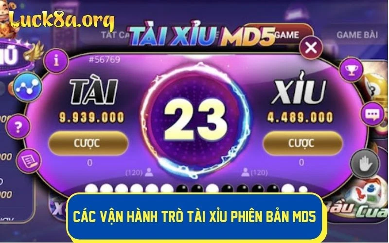 Cách vận hành trò tài xỉu phiên bản MD5