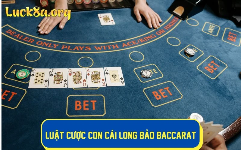 Tìm hiểu luật cược con cái Long Bảo Baccarat chi tiết