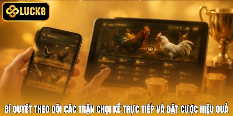 Bí quyết theo dõi các trận chọi kê trực tiếp và đặt cược hiệu quả