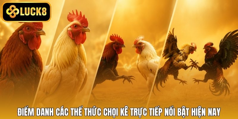 Điểm danh các thể thức chọi kê trực tiếp nổi bật hiện nay