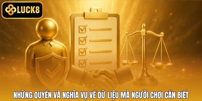 Những quyền và nghĩa vụ về dữ liệu mà người chơi cần biết